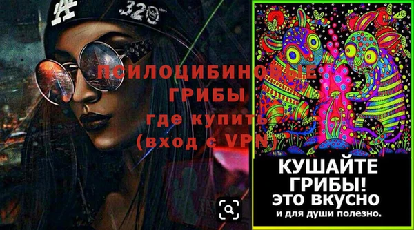 эйфоретик Баксан