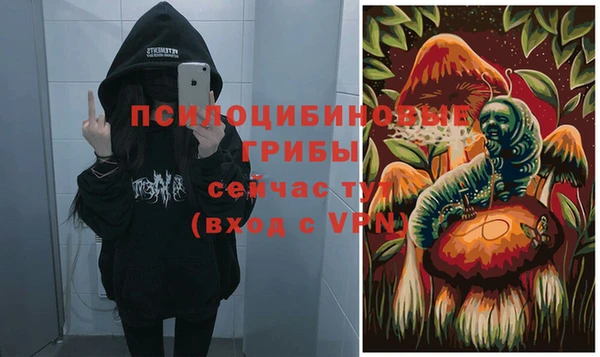 эйфоретик Баксан