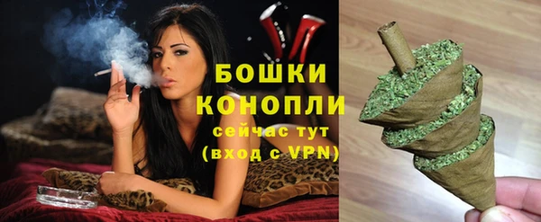 эйфоретик Баксан