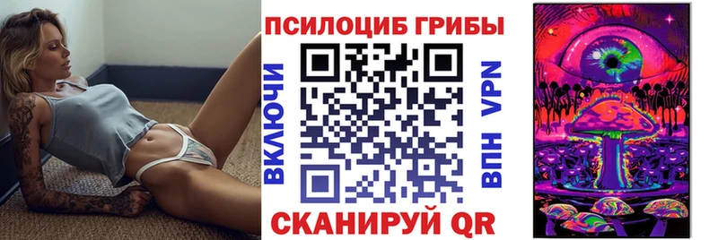 Псилоцибиновые грибы GOLDEN TEACHER Купить закладки Чайковский